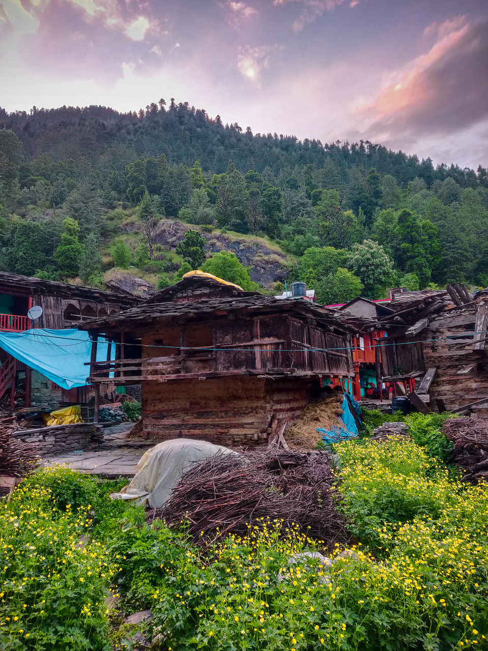 Photo of Moving to the Mountains 101: The story of HOW I moved to Old Manali 3/4 by Ambika Bhardwaj