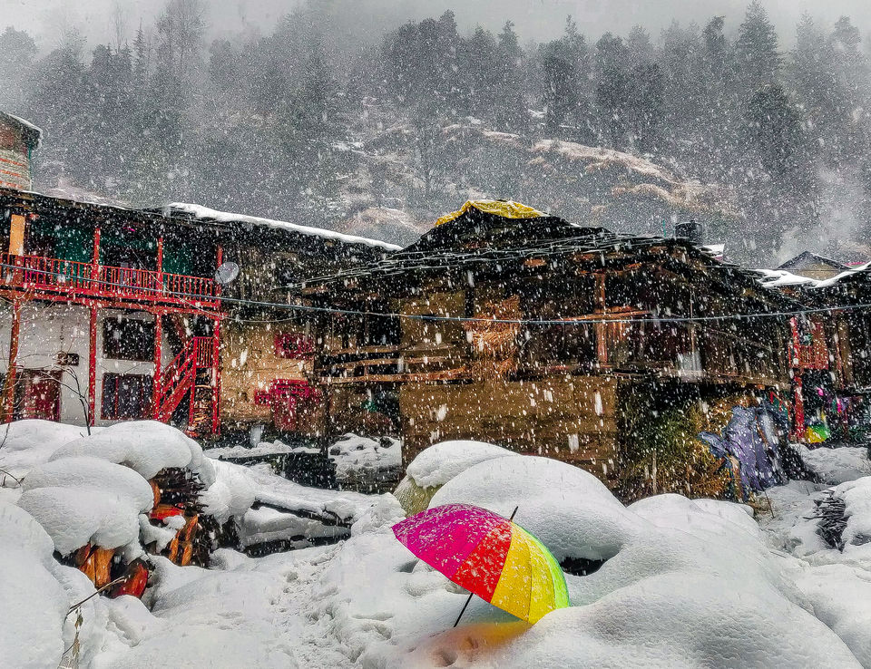 Photo of Moving to the Mountains 101: The story of HOW I moved to Old Manali 4/4 by Ambika Bhardwaj