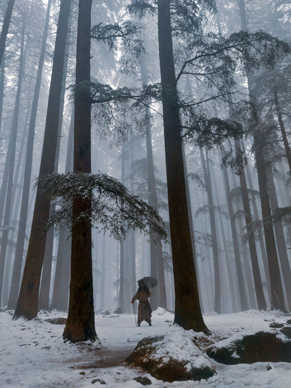 Photo of After Spending a Year in Manali, I Fell in Love with Each of Its Seasons. Here's Why! 1/11 by Ambika Bhardwaj