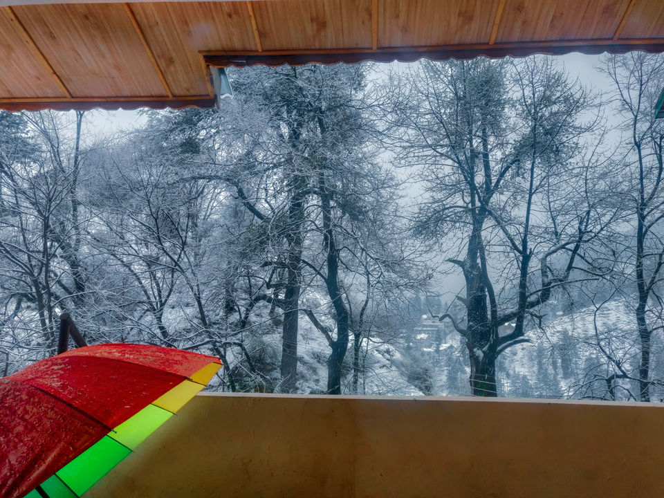 Photo of After Spending a Year in Manali, I Fell in Love with Each of Its Seasons. Here's Why! 2/11 by Ambika Bhardwaj