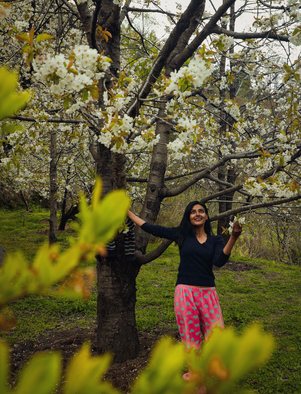 Photo of After Spending a Year in Manali, I Fell in Love with Each of Its Seasons. Here's Why! 5/11 by Ambika Bhardwaj