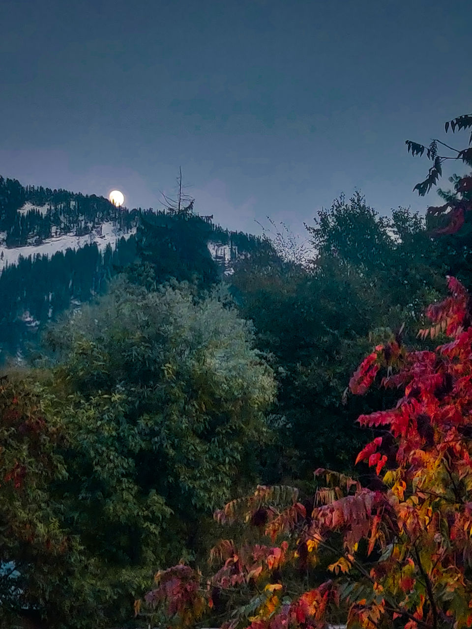 Photo of After Spending a Year in Manali, I Fell in Love with Each of Its Seasons. Here's Why! 11/11 by Ambika Bhardwaj