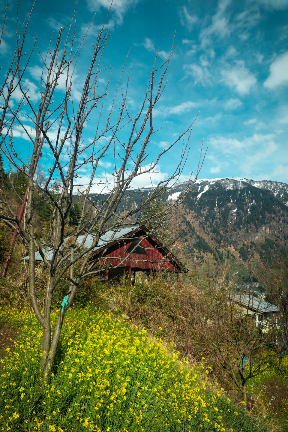Photo of If You've Always Wondered What Life Is like in the Hills, This Article Is for You 3/9 by Ambika Bhardwaj