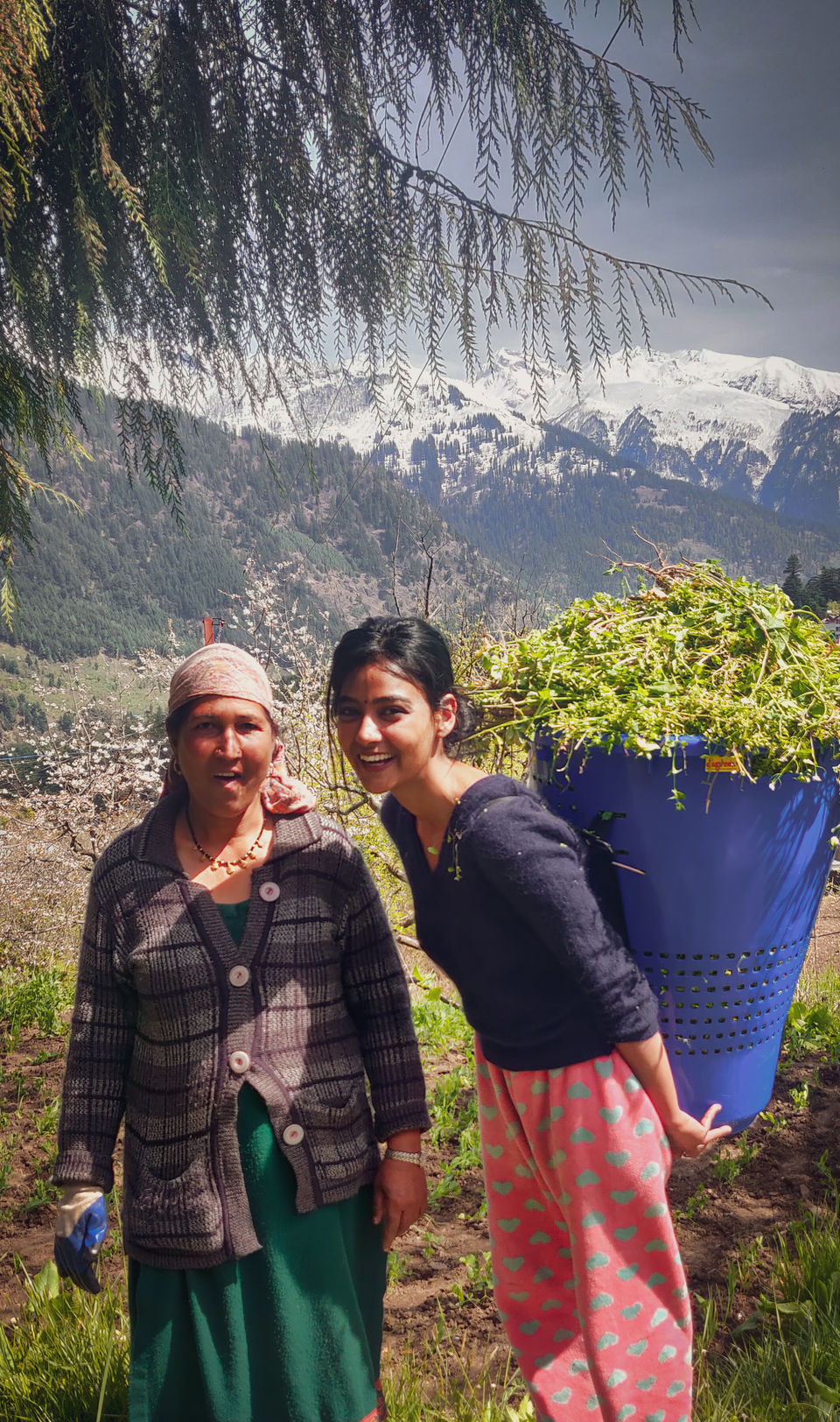 Photo of If You've Always Wondered What Life Is like in the Hills, This Article Is for You 8/9 by Ambika Bhardwaj