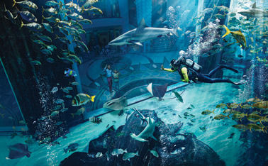 Photo of Atlantis, The Palm - The Palm Jumeirah - Dubai - United Arab Emirates by Travel+Leisure India & South Asia