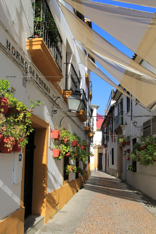 Photo of Córdoba, Spain by Travel+Leisure India & South Asia