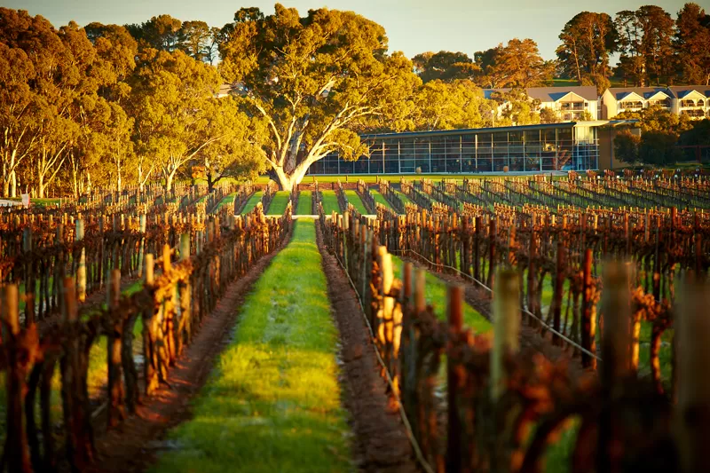 Photo of The Barossa Valley, Australia's Renowned Wine Region by Travel+Leisure India & South Asia