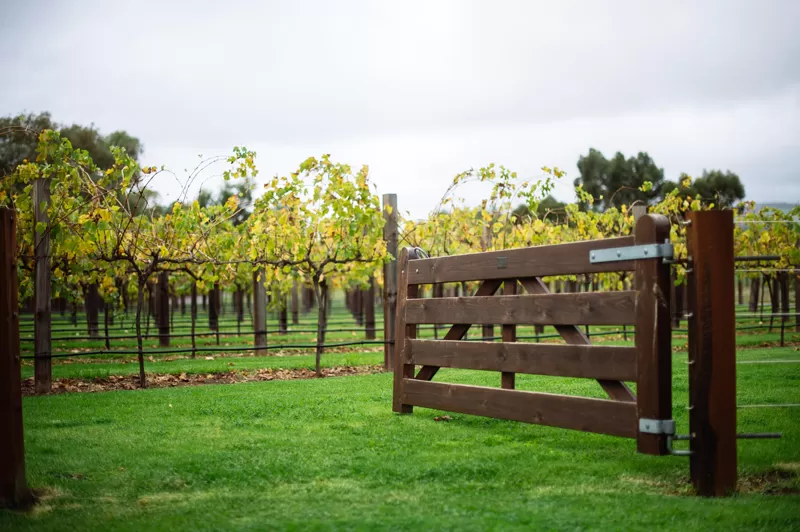 Photo of The Barossa Valley, Australia's Renowned Wine Region by Travel+Leisure India & South Asia