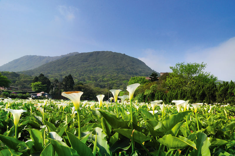 Photo of Sun Moon Lake, Yuchi Township, Taiwan Province, Taiwan by Travel+Leisure India & South Asia
