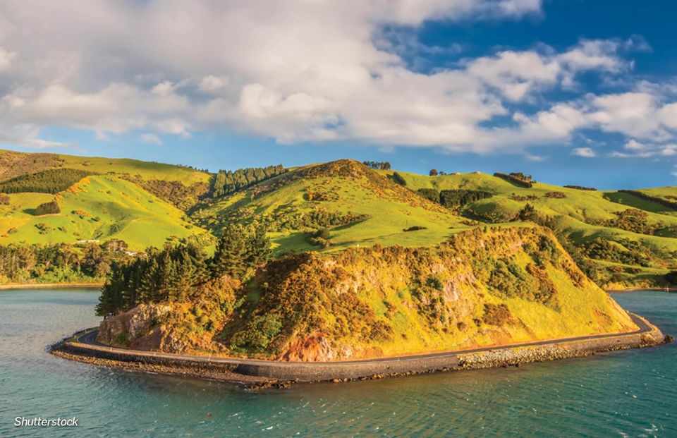 Photo of New Zealand by Travel+Leisure India & South Asia