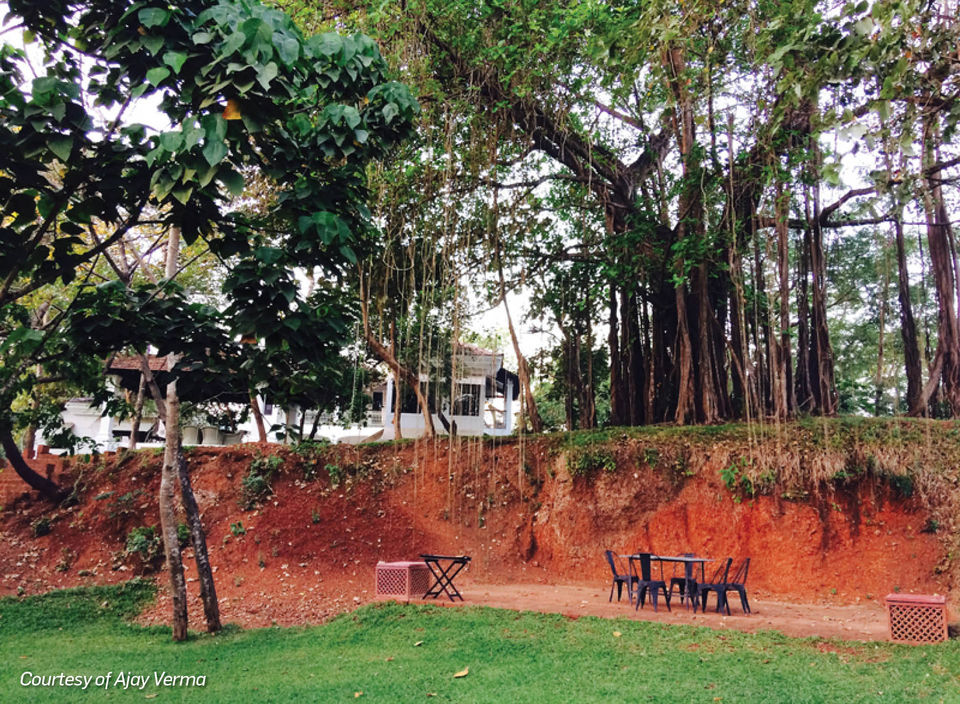 Photo of This Pretty Little Cottage Is Going To Be The Best Goan Experience You Could Give Yourself 2/9 by Travel+Leisure India & South Asia