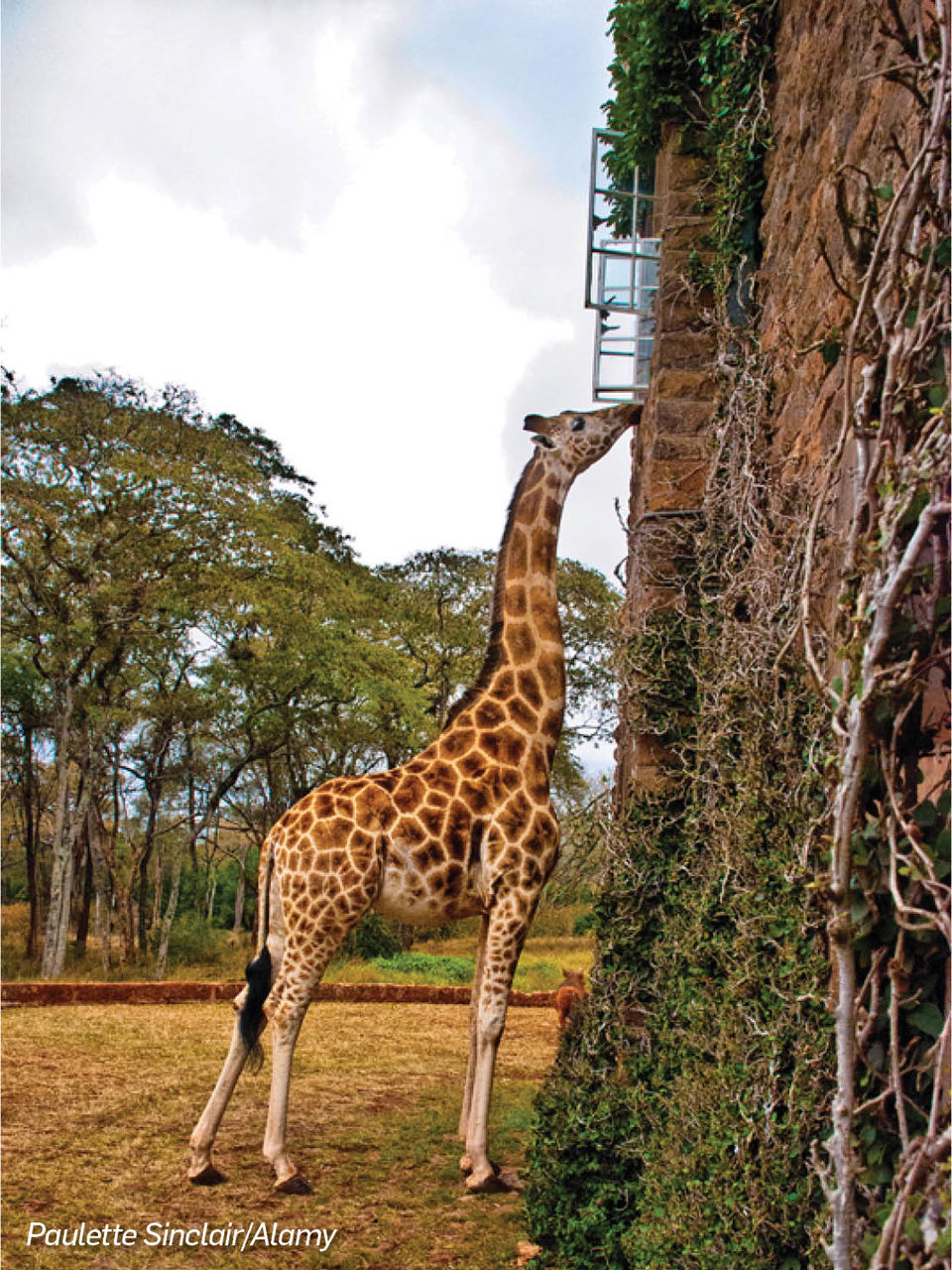 Photo of Giraffe Manor, Nairobi, Nairobi County, Kenya by Travel+Leisure India & South Asia