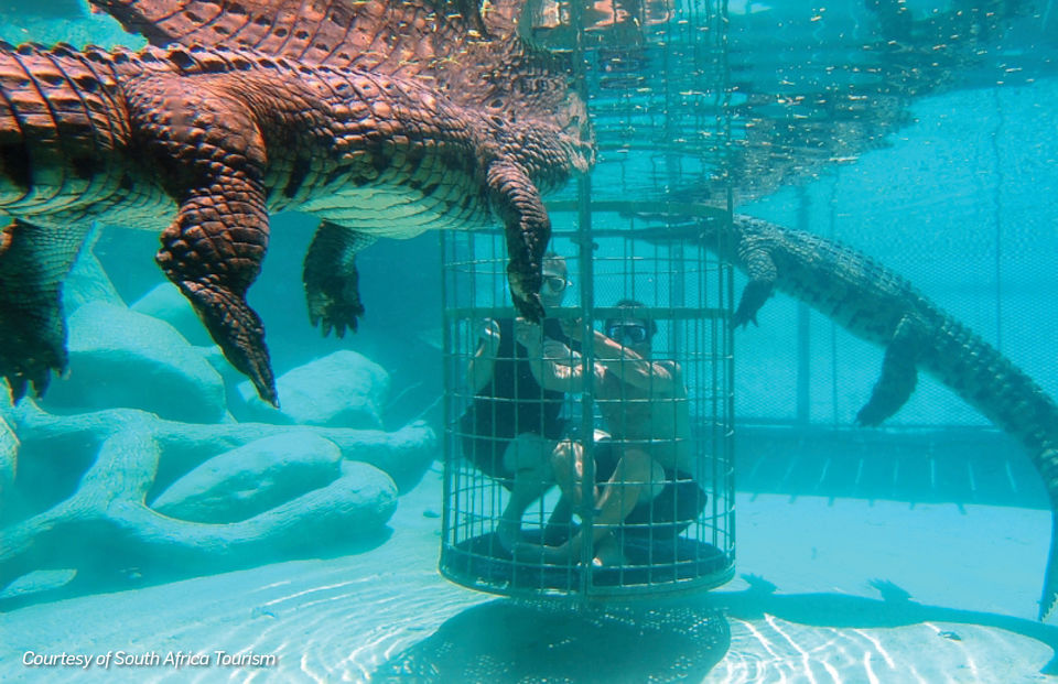 Photo of South Africa by Travel+Leisure India & South Asia