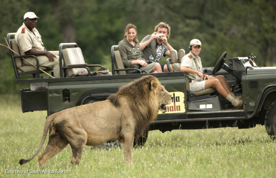 Photo of Bigger The Better: Travelling To South Africa For A Wild Family Vacation by Travel+Leisure India & South Asia