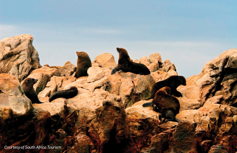 Photo of Port Elizabeth, Eastern Cape, South Africa by Travel+Leisure India & South Asia