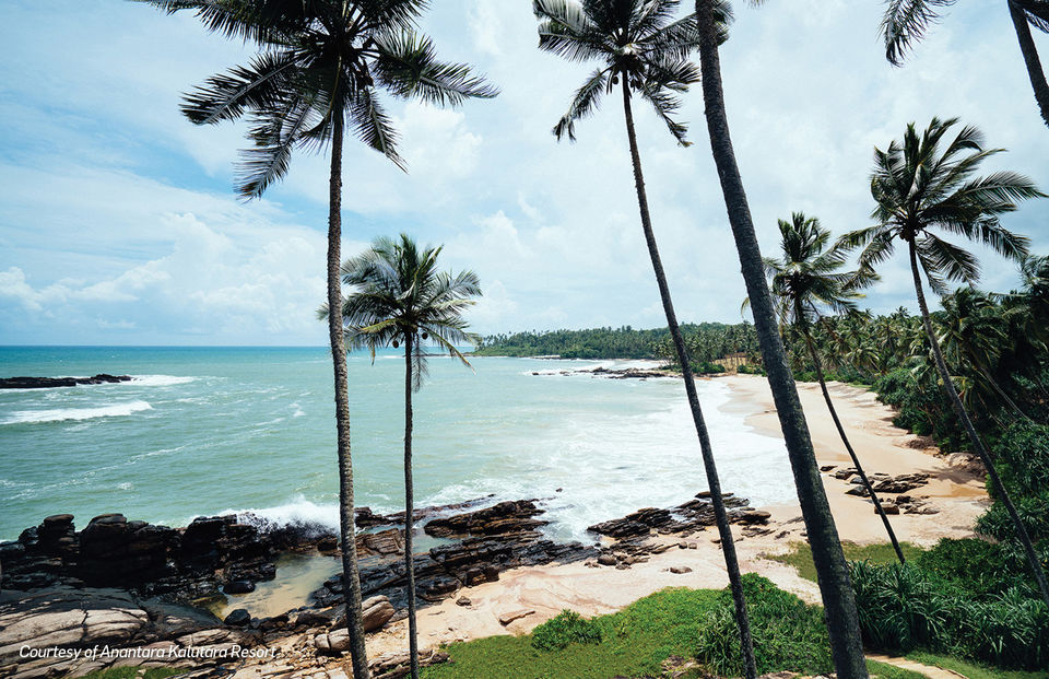 Photo of A Comprehensive Guide To Exploring Sri Lanka's Finest Landscapes and Heritage Sights 1/1 by Travel+Leisure India & South Asia