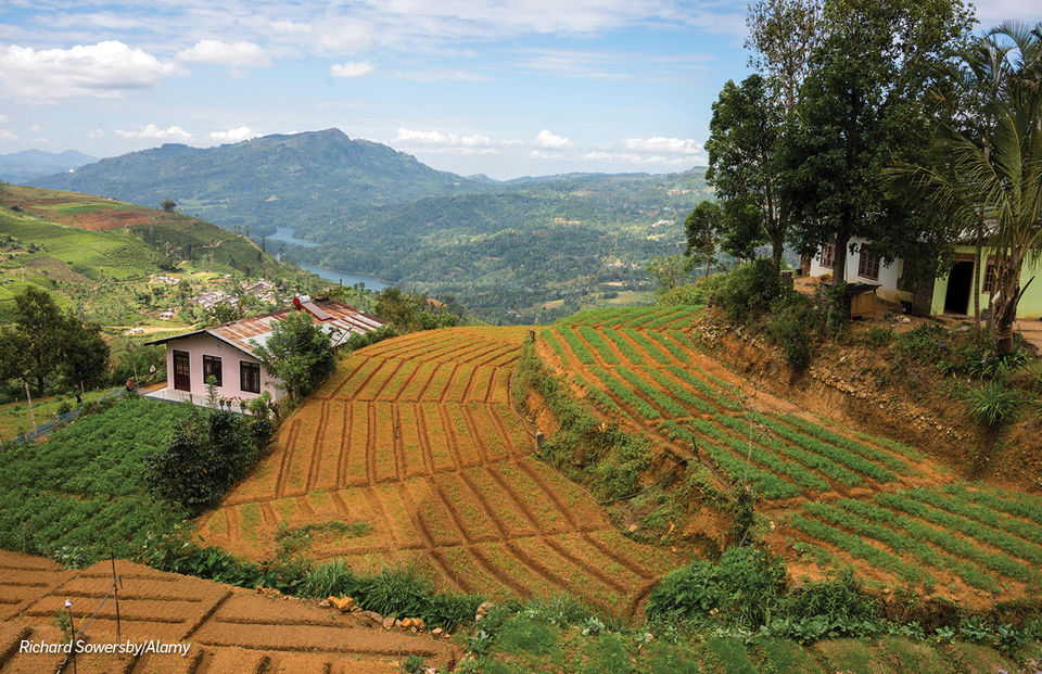 Photo of A Comprehensive Guide To Exploring Sri Lanka's Finest Landscapes and Heritage Sights by Travel+Leisure India & South Asia