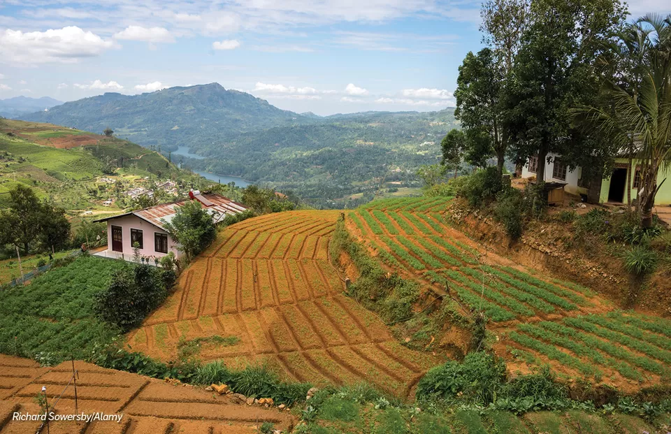 Photo of A Comprehensive Guide To Exploring Sri Lanka's Finest Landscapes and Heritage Sights by Travel+Leisure India & South Asia