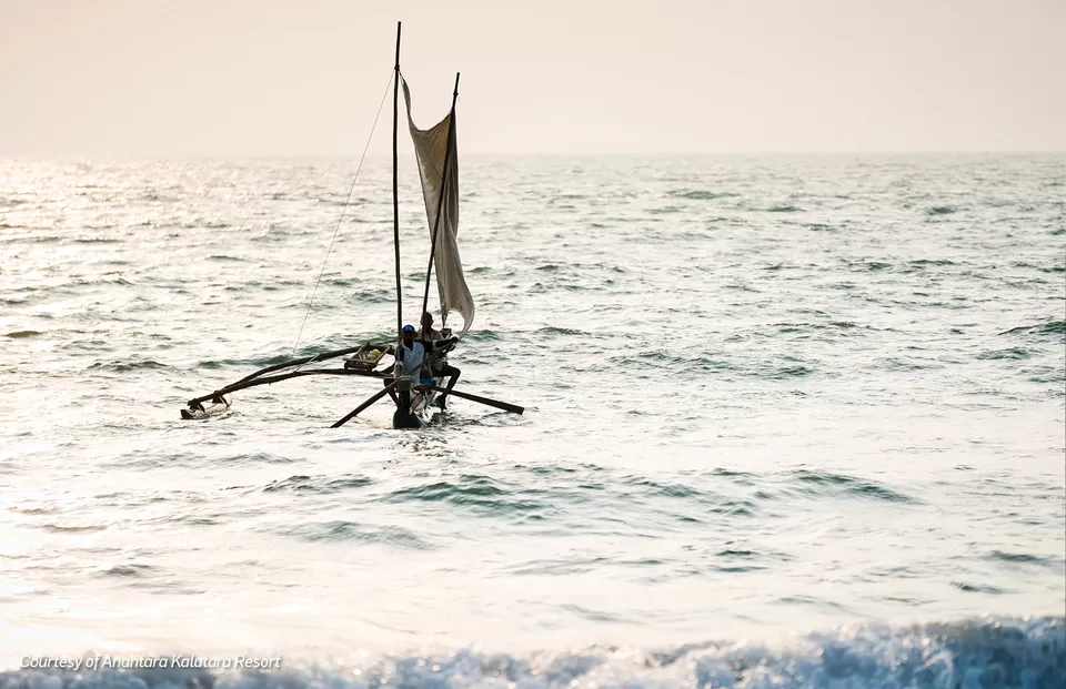 Photo of A Comprehensive Guide To Exploring Sri Lanka's Finest Landscapes and Heritage Sights by Travel+Leisure India & South Asia