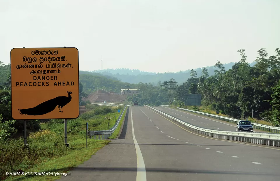 Photo of A Comprehensive Guide To Exploring Sri Lanka's Finest Landscapes and Heritage Sights by Travel+Leisure India & South Asia