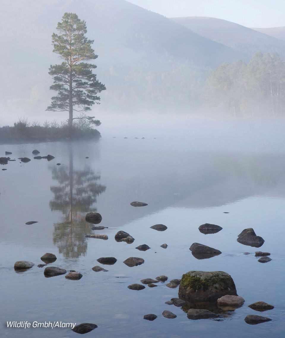 Photo of For A Few Days Of Absolute Peace, Head To These Beautiful Indian Retreats! 1/1 by Travel+Leisure India & South Asia