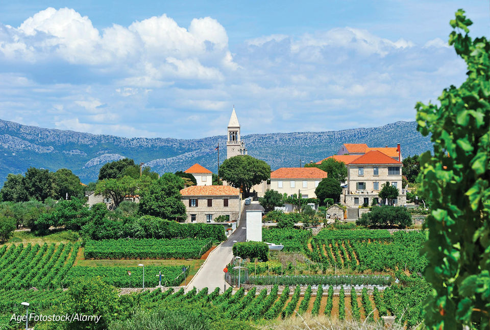 Photo of Uncorking Korcula - Croatia's Hidden Gem by Travel+Leisure India & South Asia