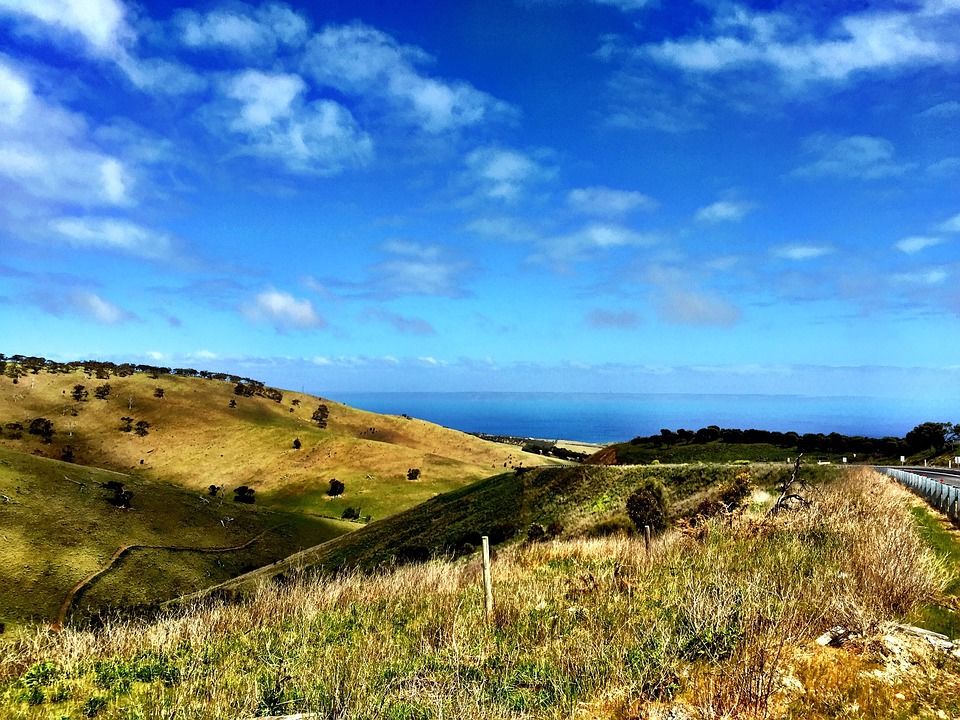 Photo of Vineyards In Australia: Ripe In The Vine 1/1 by Travel+Leisure India & South Asia