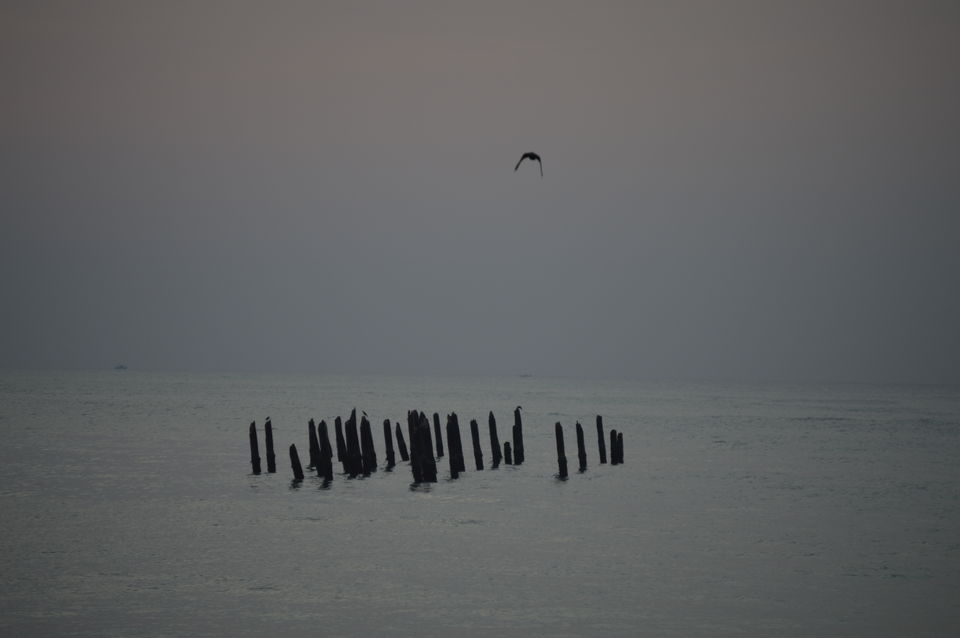 Photo of Pondicherry- “A home away from ROUTINE” 1/7 by Sonal Agarwal