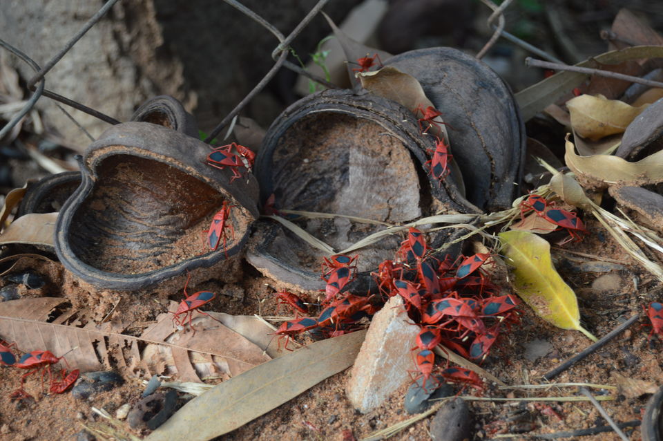 Photo of Pondicherry- “A home away from ROUTINE” 2/7 by Sonal Agarwal