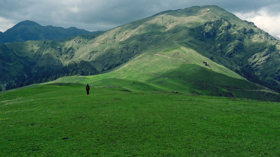 Photo of Ali Bugyal, Chamoli, Uttarakhand, India by Pramati Anand
