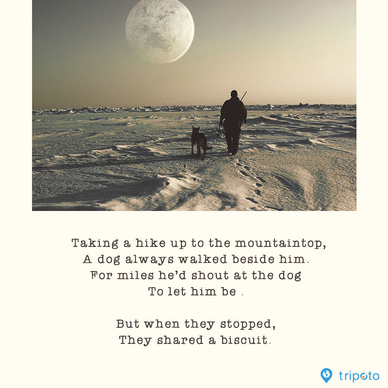 Photo of Tripoto Travel Shorts! by Pramati Anand