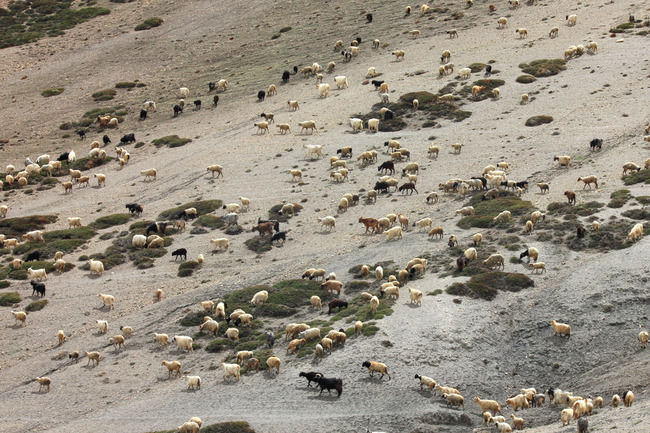 Photo of This is the Ladakh everyone forgets to see 16/27 by Pramati Anand