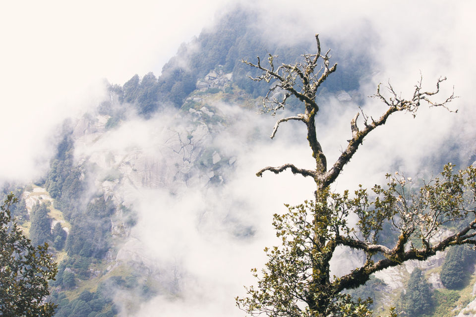 Photo of Triund Trek: A Single Girl Goes On A Solo Trip With Only Rs 3500 In Her Pocket 15/38 by Pramati Anand