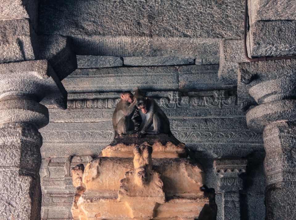 Photo of This is what happens when a girl and a guy embark on a backpacking trip to HAMPI! 8/40 by Pramati Anand