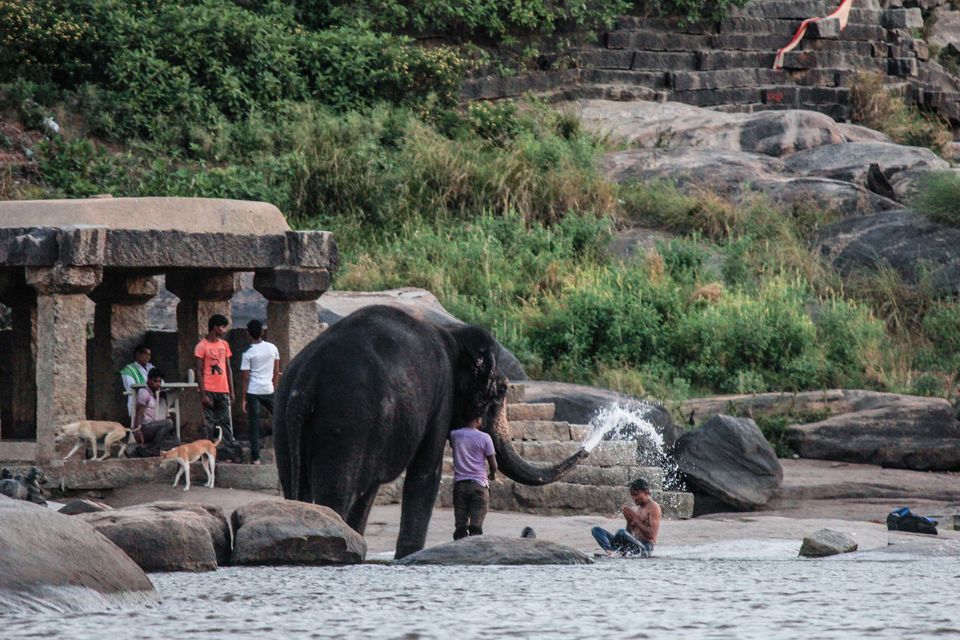 Photo of This is what happens when a girl and a guy embark on a backpacking trip to HAMPI! 10/40 by Pramati Anand