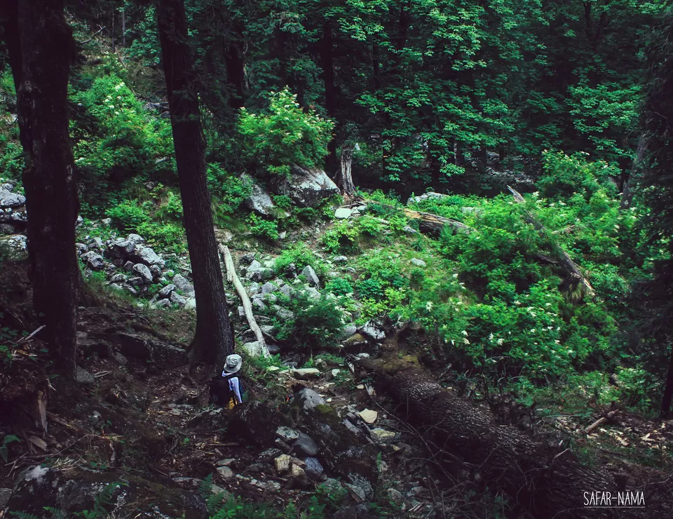 Photo of Kalap, Uttarakhand, India by Pramati Anand