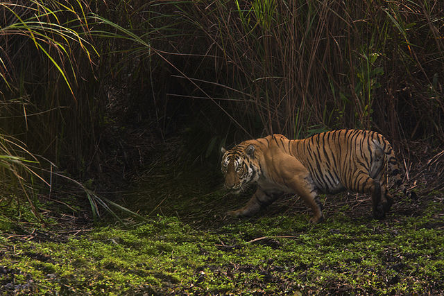 Photo of 10 Places To Get The Most Incredible Pictures of INDIA! 11/33 by Pramati Anand