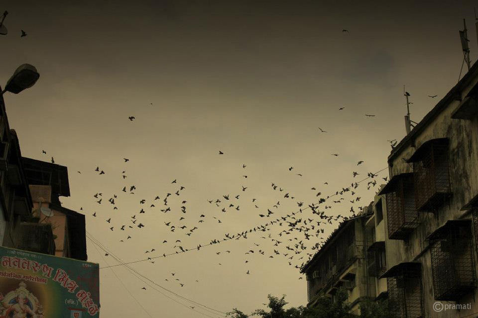 Photo of 12 Amazing Photographs of MUMBAI That Bring Out The Soul Of The City! 3/26 by Pramati Anand