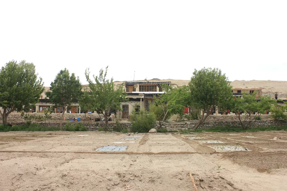 Photo of SECMOL Campus by Pramati Anand