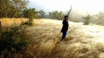 Photo of Panna, Madhya Pradesh, India by Kalyani Barman