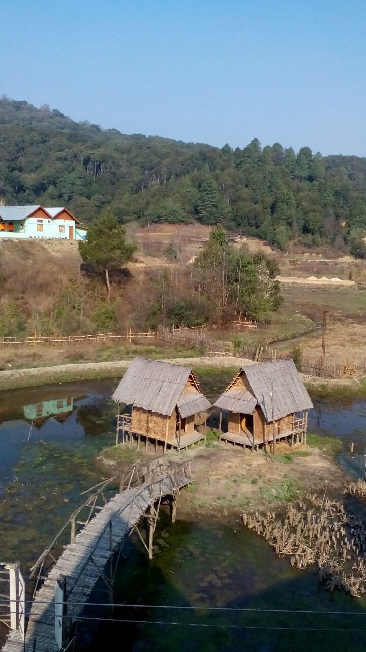 Photo of Exploring Ziro Valley, Rediscovering Maa 12/20 by Kalyani Barman