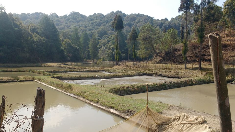 Photo of Exploring Ziro Valley, Rediscovering Maa 15/20 by Kalyani Barman