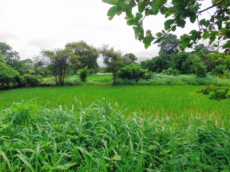 Photo of Sagargad Fort, Bamangaon, Maharashtra, India by MUhammed Unais P (TheIndianTrails)