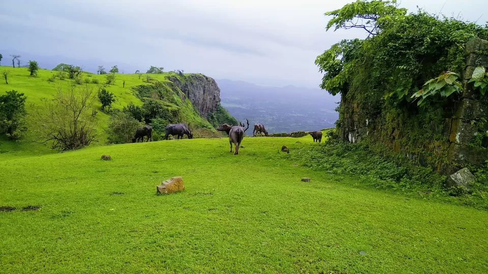 Photo of Sagargad Fort, Bamangaon, Maharashtra, India by MUhammed Unais P (TheIndianTrails)