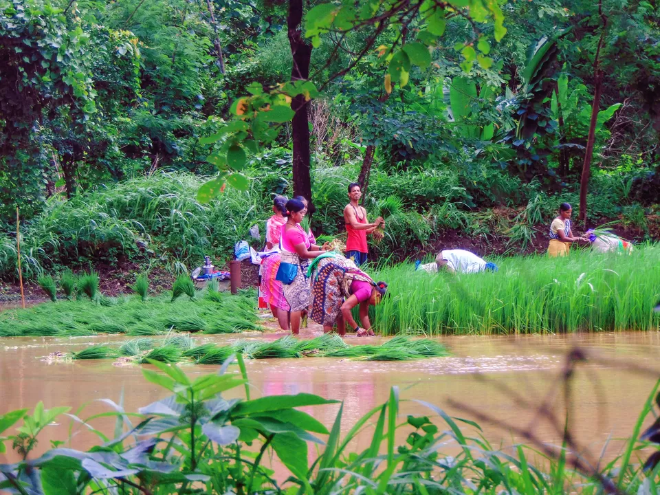 Photo of Sagargad Fort, Bamangaon, Maharashtra, India by MUhammed Unais P (TheIndianTrails)