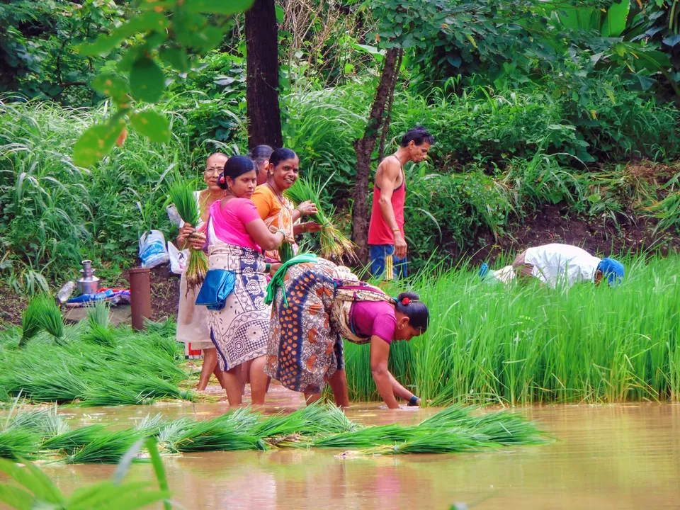 Photo of Sagargad Fort, Bamangaon, Maharashtra, India by MUhammed Unais P (TheIndianTrails)
