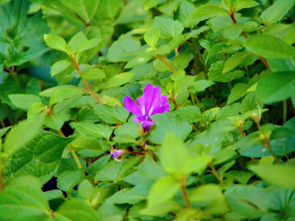 Photo of Sagargad Fort, Bamangaon, Maharashtra, India by MUhammed Unais P (TheIndianTrails)