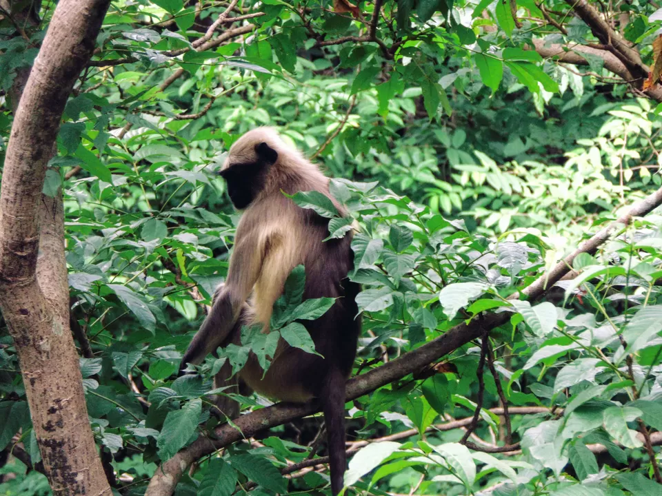 Photo of Kanheri Caves, Mumbai, Maharashtra, India by MUhammed Unais P (TheIndianTrails)