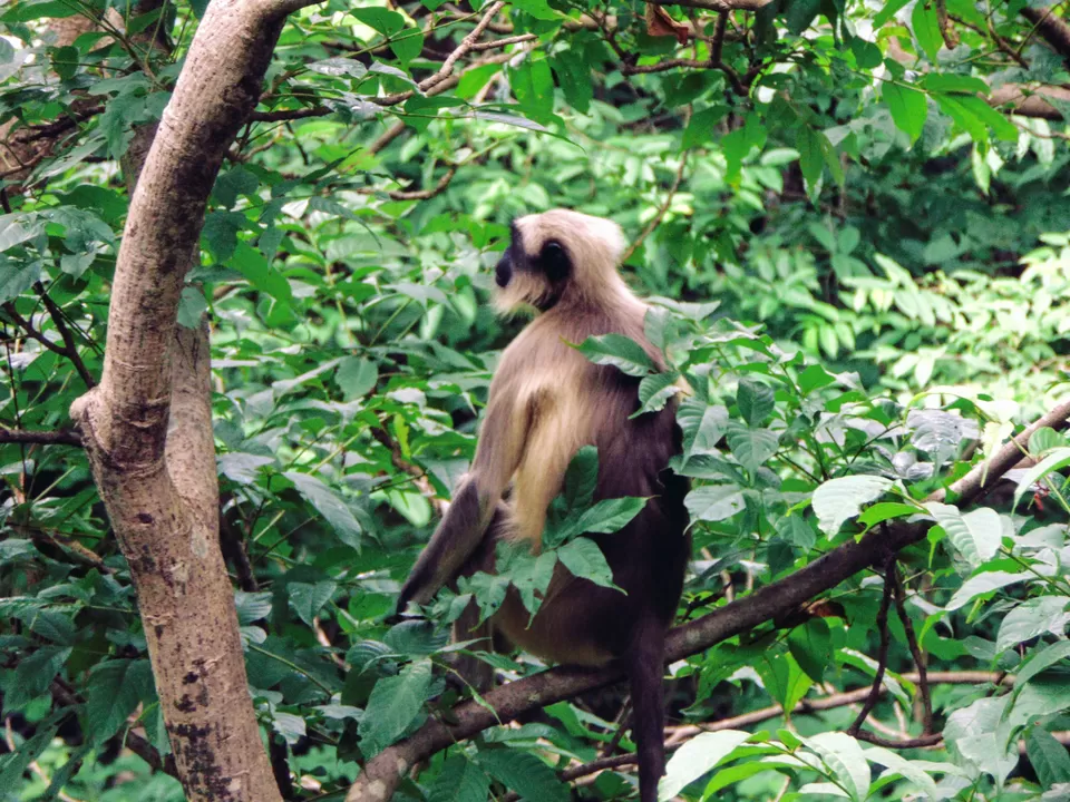 Photo of Kanheri Caves, Mumbai, Maharashtra, India by MUhammed Unais P (TheIndianTrails)