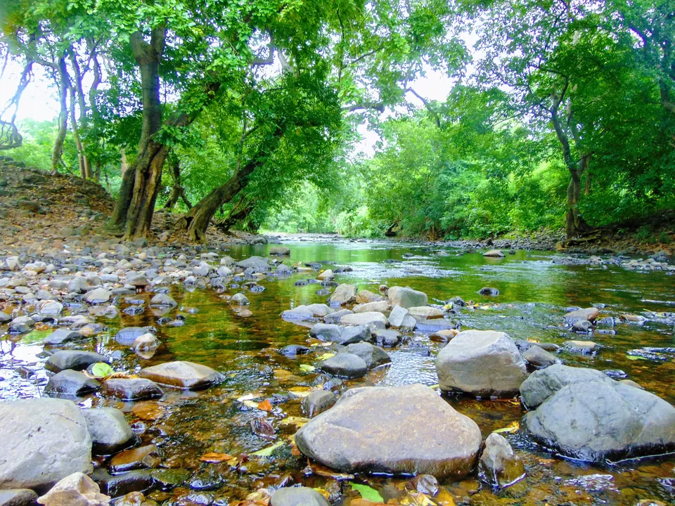Photo of Kanheri Caves, Mumbai, Maharashtra, India by MUhammed Unais P (TheIndianTrails)